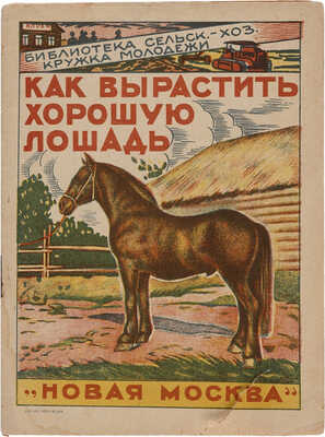 Орлов А.А. Как вырастить хорошую лошадь. [М.]: Новая Москва, 1925.